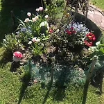 A&r Brzozowa 5 * Rowy (Pomerania)
