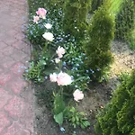 A&r Brzozowa 5 * Rowy (Pomerania)