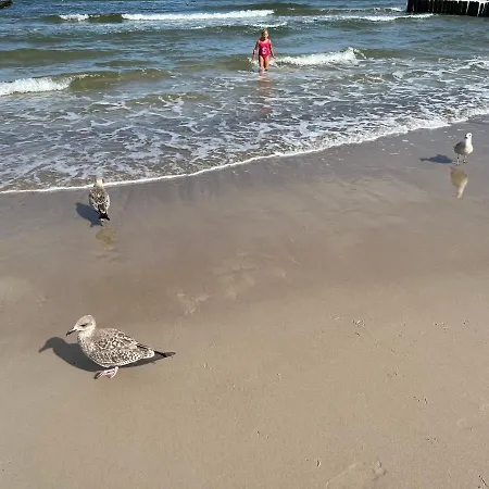 A&r Brzozowa 5 Rowy (Pomerania)