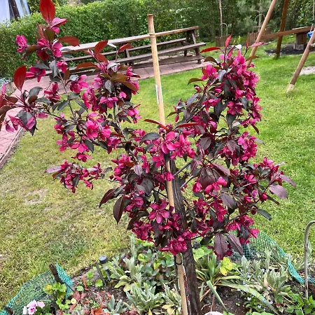 A&r Brzozowa 5 度假居 罗威