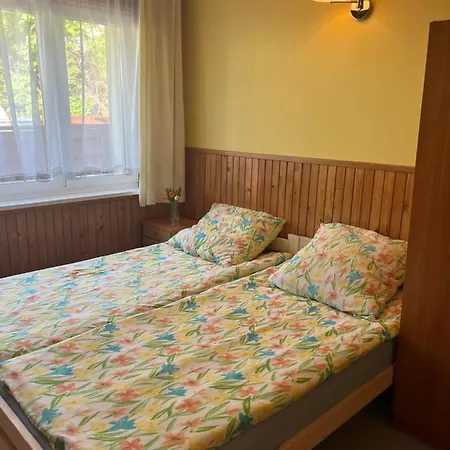 A&r Brzozowa 5 Holiday home *
