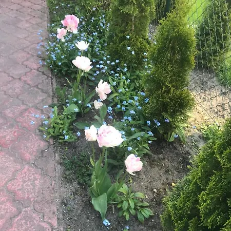 A&r Brzozowa 5 * Rowy (Pomerania)