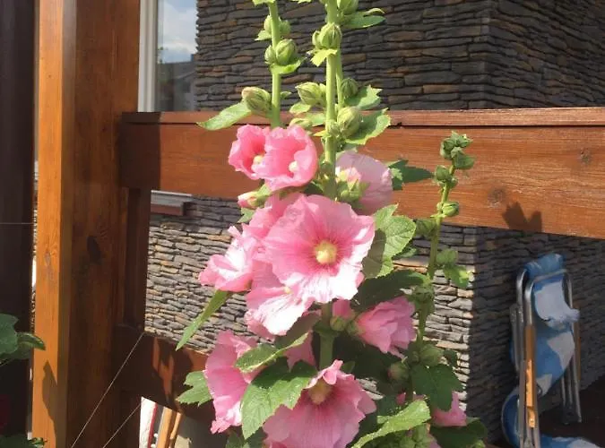 A&r Brzozowa 5 Semesterbostad Rowy (Pomerania)