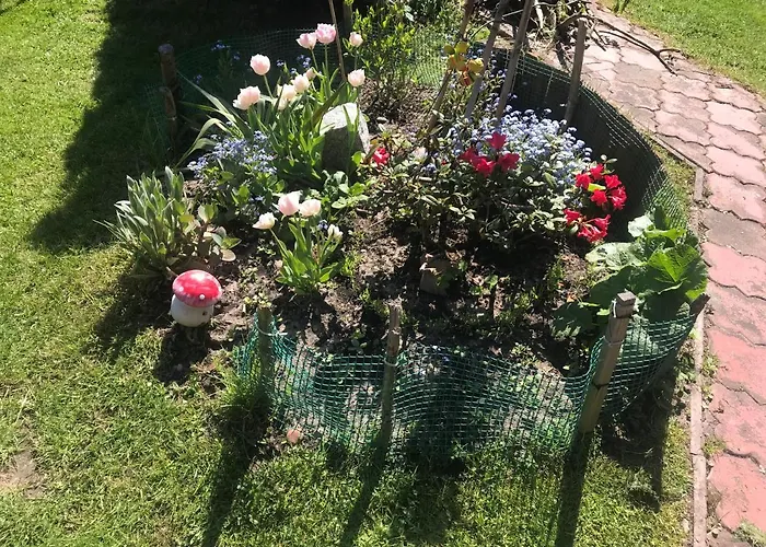 A&r Brzozowa 5 * Rowy (Pomerania)