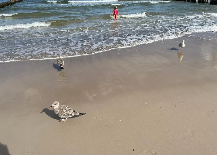 A&r Brzozowa 5 Ровы