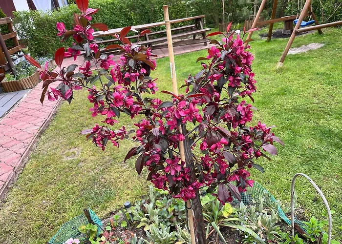 A&r Brzozowa 5 Semesterbostad Rowy (Pomerania)