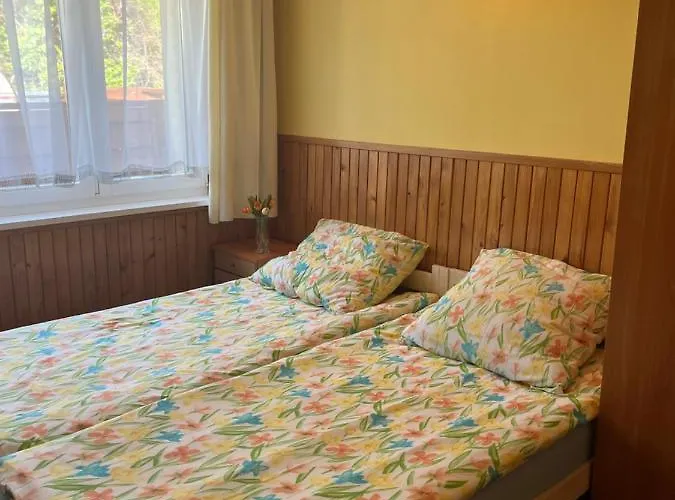 A&r Brzozowa 5 Дом отдыха *