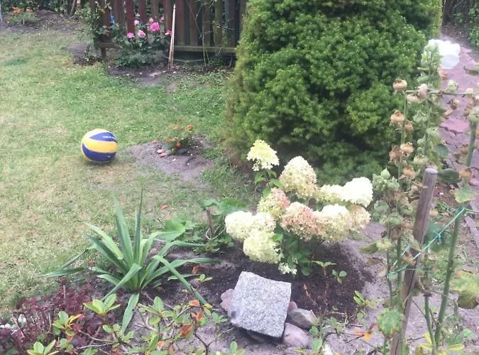 Дом отдыха A&r Brzozowa 5 *