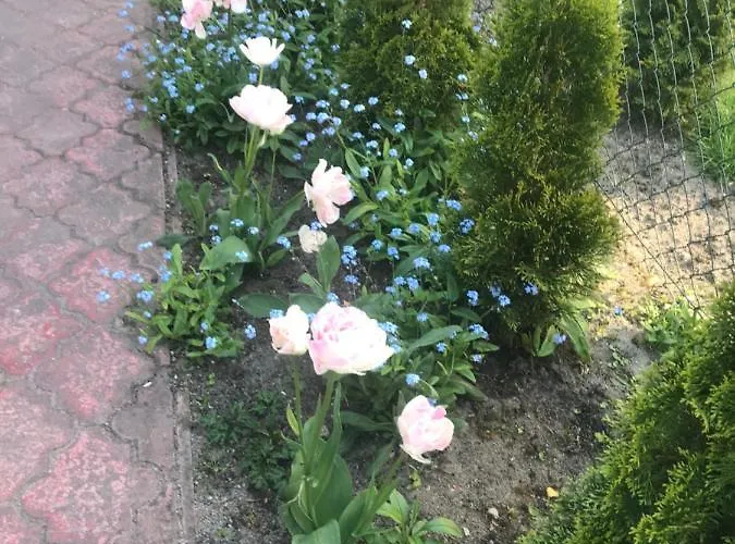 A&r Brzozowa 5 * Ровы